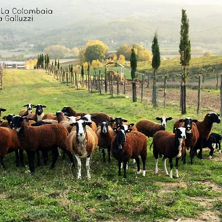 Agriturismo La Colombaia Farm stay Vicchio