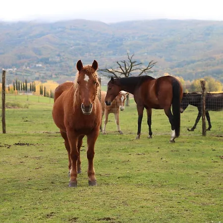 Agriturismo La Colombaia Farm stay