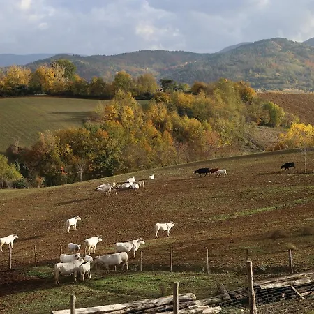 Farm stay Agriturismo La Colombaia