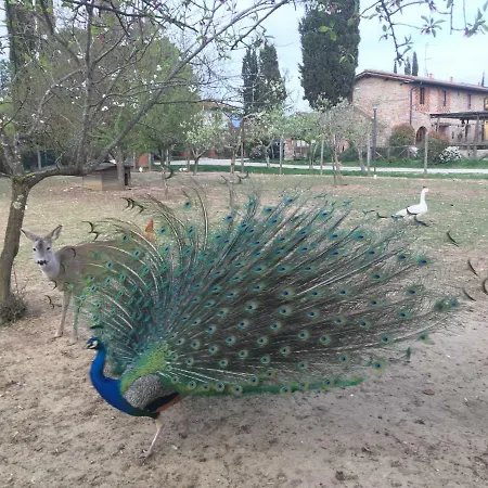 Agriturismo La Colombaia Farm stay Vicchio
