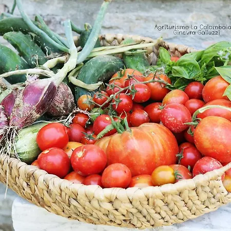 Alloggio per agriturismo Agriturismo La Colombaia