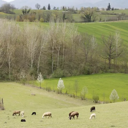 Agriturismo La Colombaia Alloggio per agriturismo *