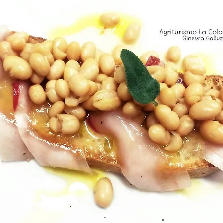 Alloggio per agriturismo Agriturismo La Colombaia Vicchio