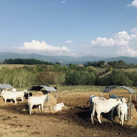 Alloggio per agriturismo Agriturismo La Colombaia Vicchio