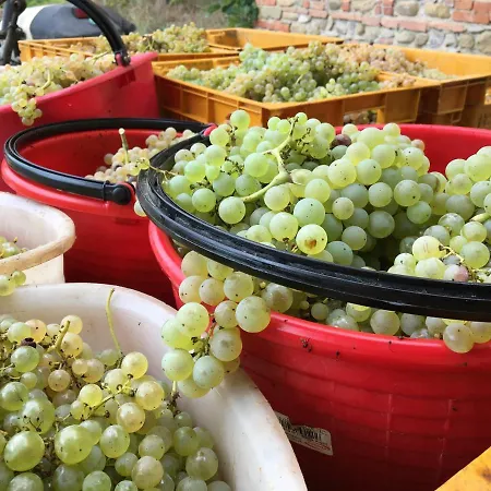 Alloggio per agriturismo Agriturismo La Colombaia Vicchio